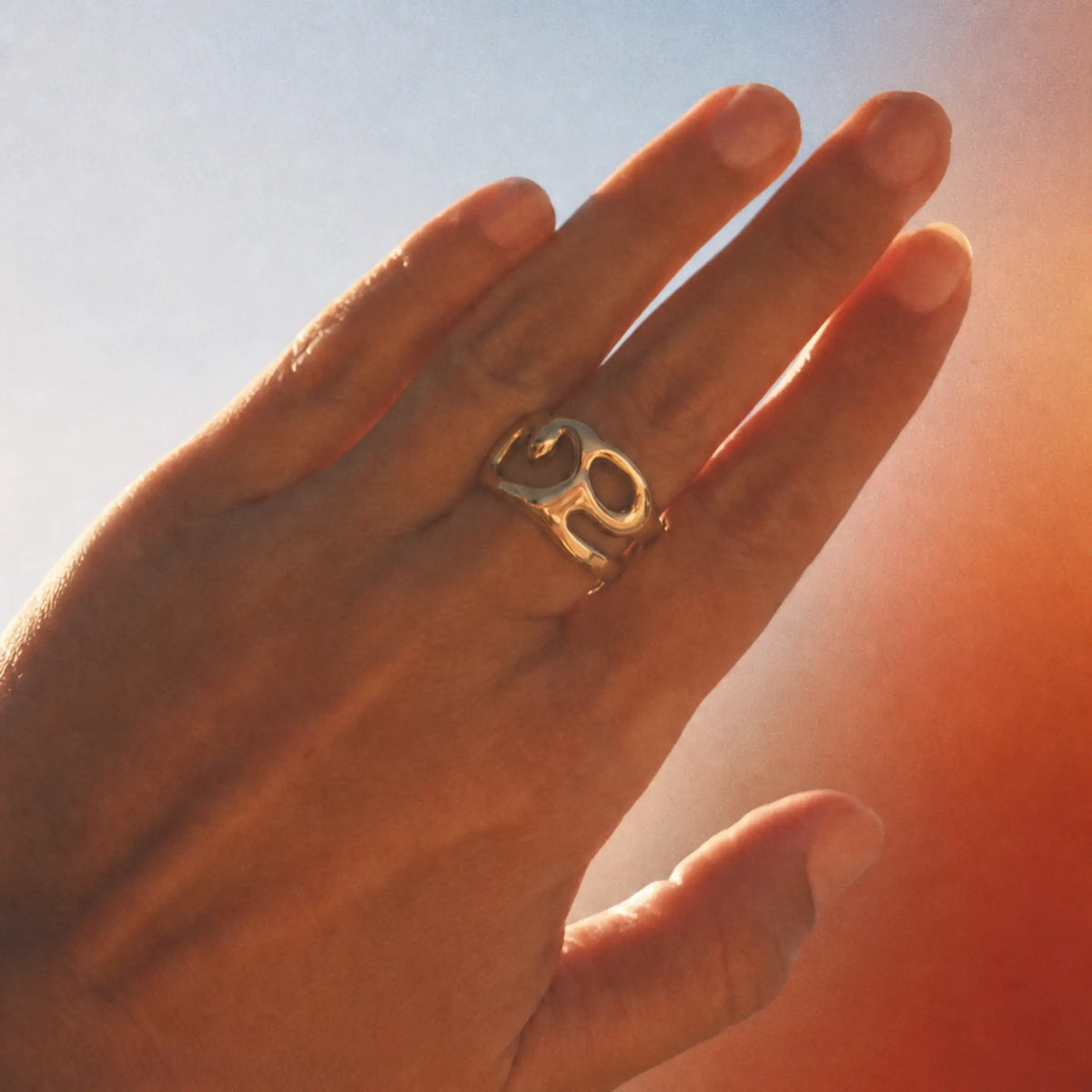 Anillos
